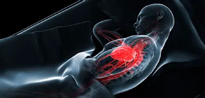 Wieso Abendmenschen ein h&ouml;heres Risiko f&uuml;r Herz-Kreislauf-Krankheiten aufweisen