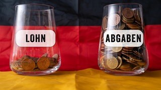 Wirtschaftsinstitut weist Linken-Statistik zu Sozialabgaben zur&uuml;ck