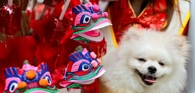 Die &bdquo;Farang&ldquo;-Steuer geht weltweit um