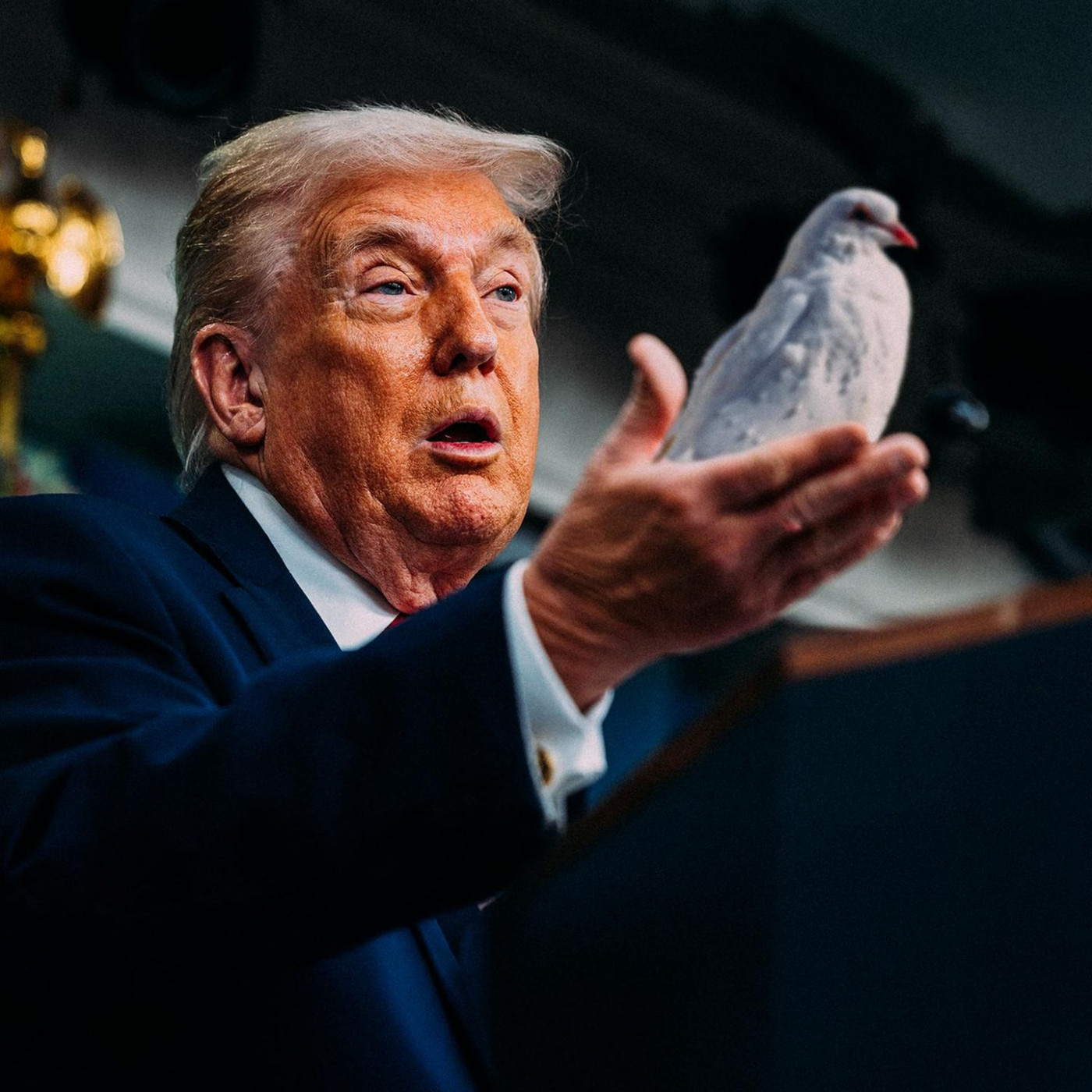 Um Frieden geht es nur auf dem Papier