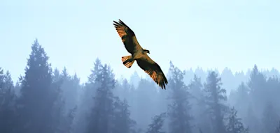 Gl&uuml;ck und Zufriedenheit? Ein anderer Faktor ist wichtiger f&uuml;r das Wohlbefinden