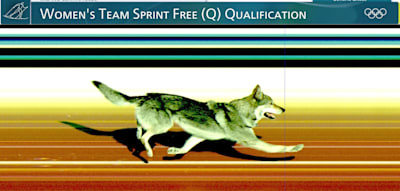 Samt Zielfoto &ndash; So schaffte es Hund &bdquo;Nazgul&ldquo; ins Langlaufstadion