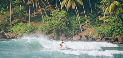 Surfen, Elefanten, Ayurveda-Medizin &ndash;der Zauber Sri Lankas