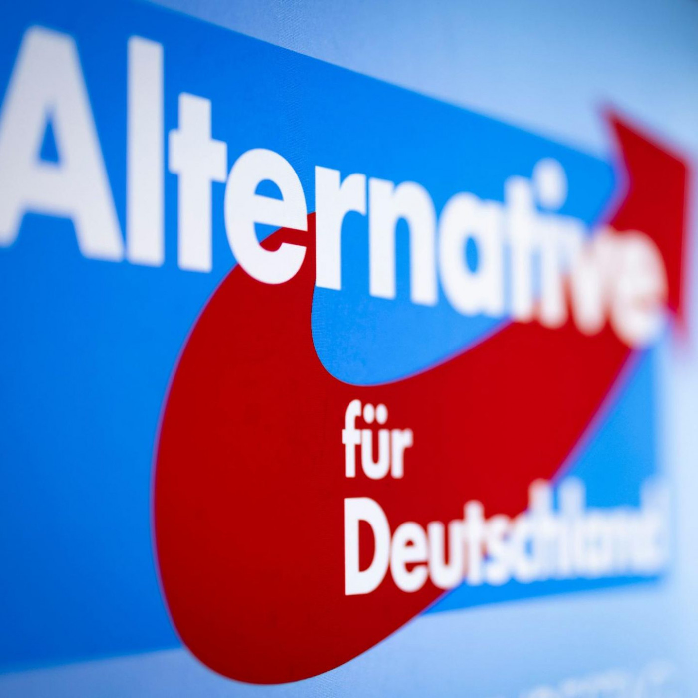Kommission soll Vetternwirtschaft bei der AfD verhindern