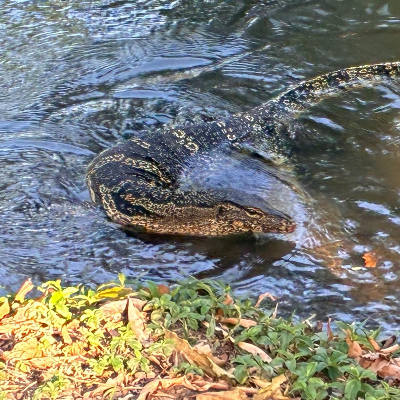 Nur gucken, blo&szlig; nicht anfassen!