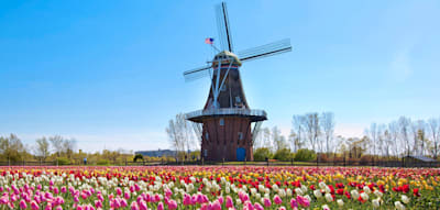 Wo die USA Holland und auch Franken Konkurrenz machen