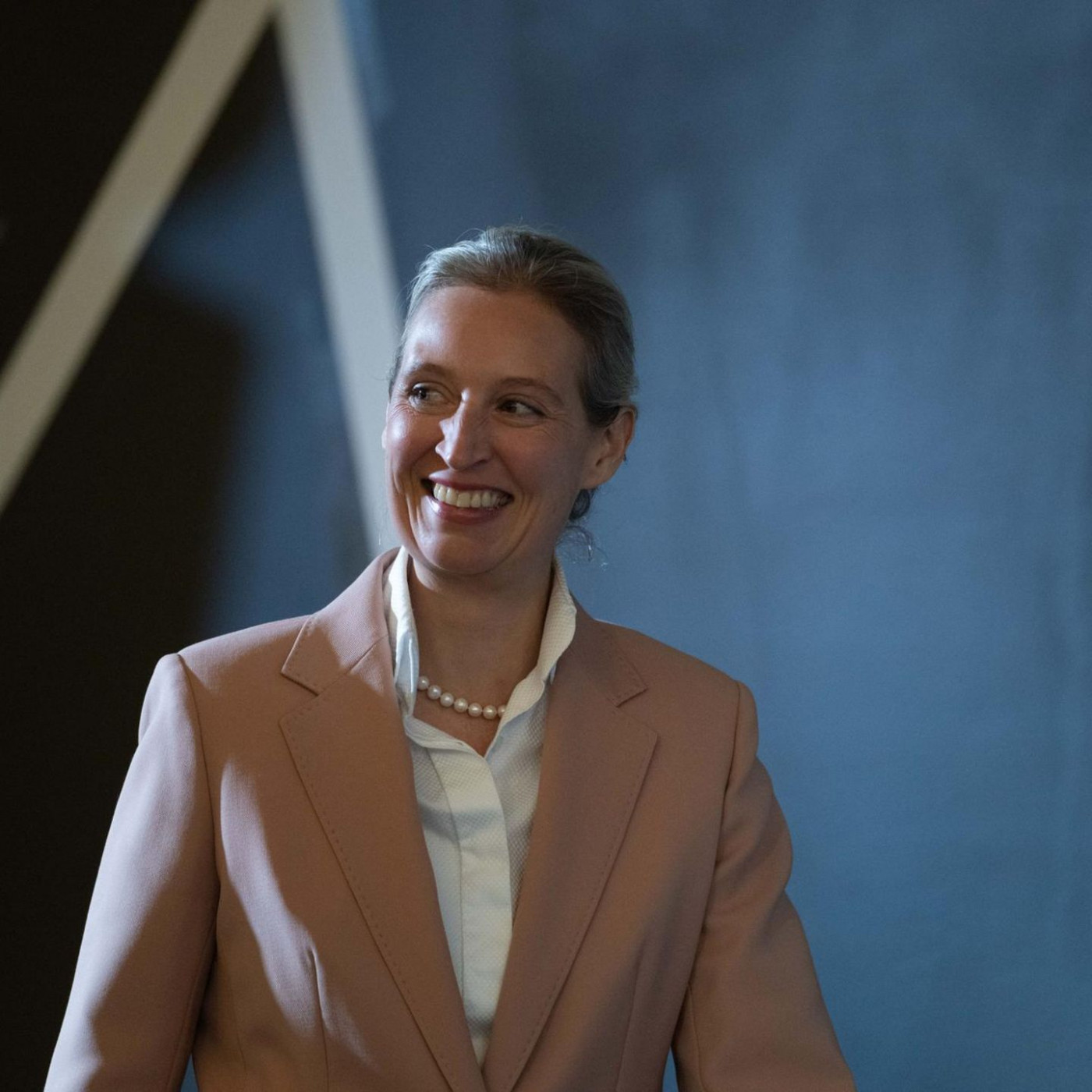 Dobrindt l&auml;sst AfD-Gutachten pr&uuml;fen