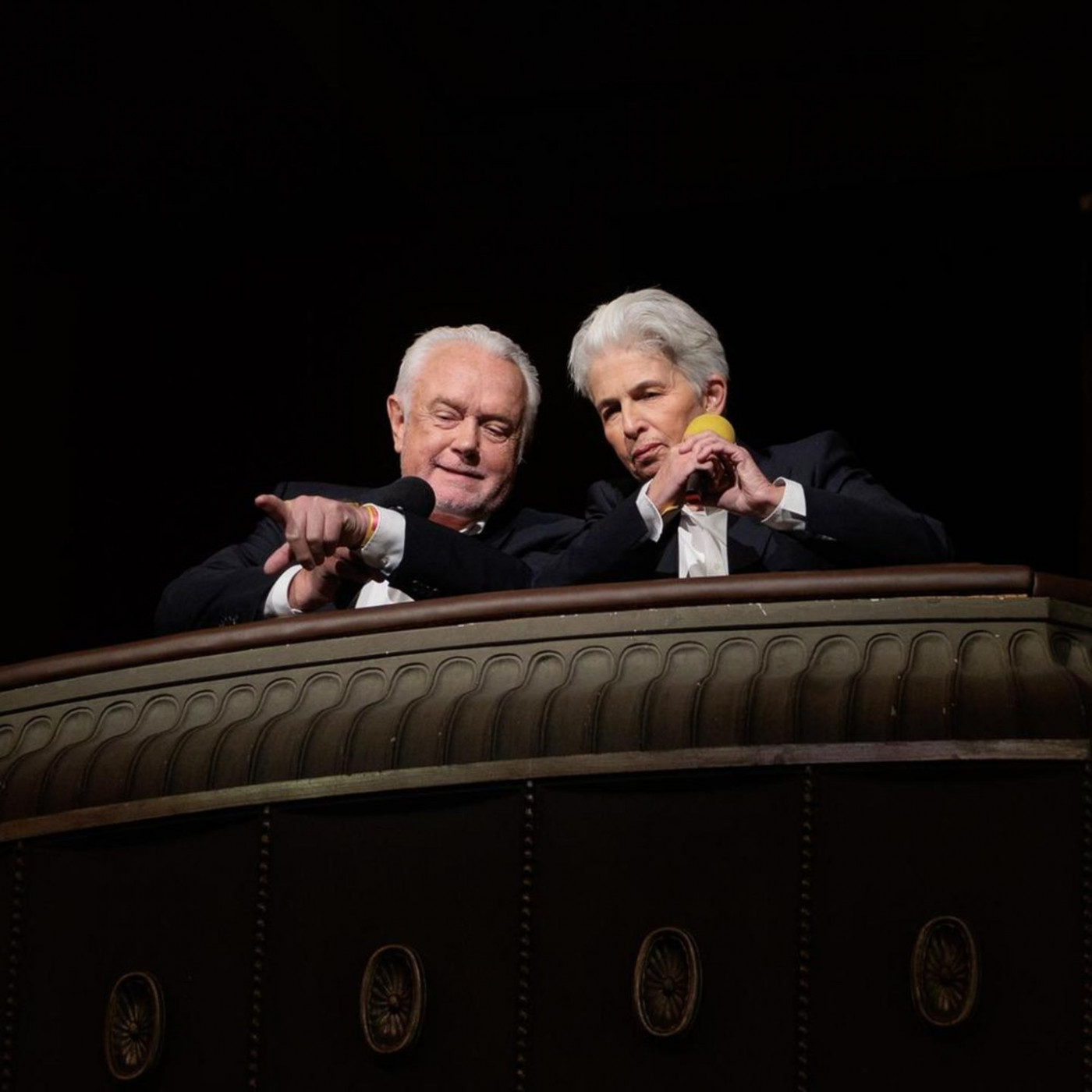 Operation &Uuml;berleben  &ndash; oder die Mutter aller Wahlen