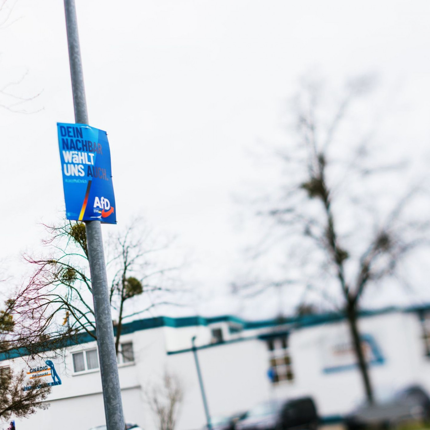 20 Prozent plus x? Darum ist die AfD im S&uuml;dwesten so stark