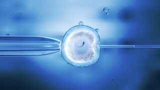 Gesundheitsministerin Warken will Eizellspende teilweise legalisieren