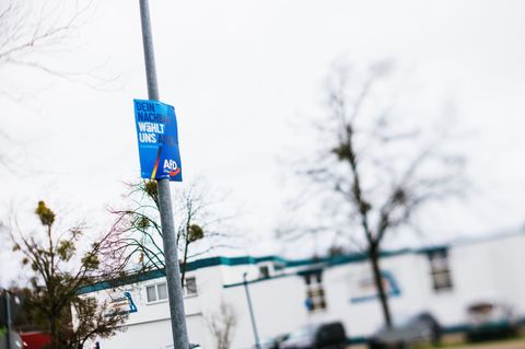 20 Prozent plus x? Darum ist die AfD im S&uuml;dwesten so stark