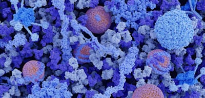 Die besonderen Merkmale im Blut von Hundertj&auml;hrigen