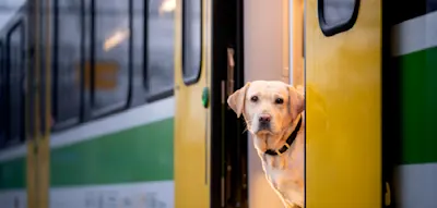 Haustiere willkommen, Kinder nicht &ndash; Franz&ouml;sische Bahngesellschaft sorgt f&uuml;r Aufregung