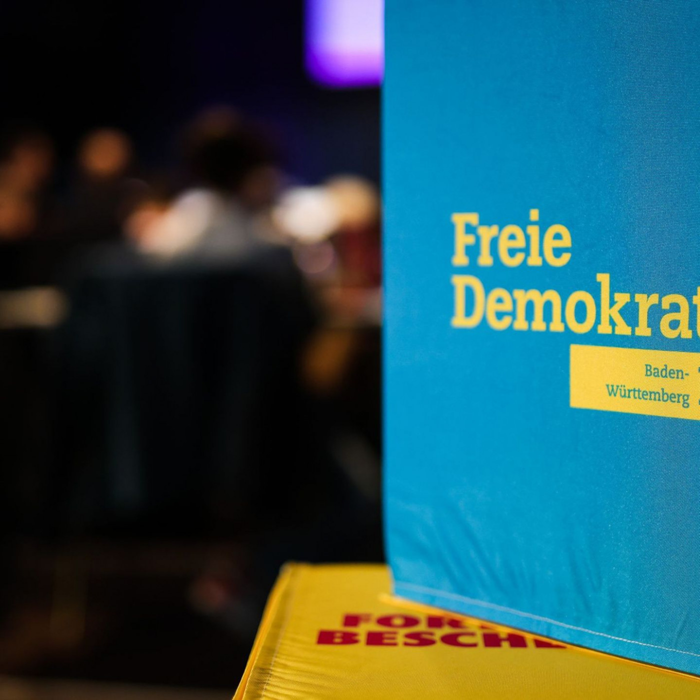 Warum Baden-W&uuml;rttemberg f&uuml;r die FDP entscheidend ist
