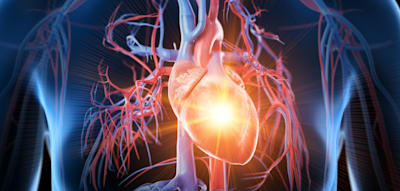 &bdquo;Unser Ziel ist, das Herz genau dann zu sch&uuml;tzen, wenn es am verletzlichsten ist&ldquo;