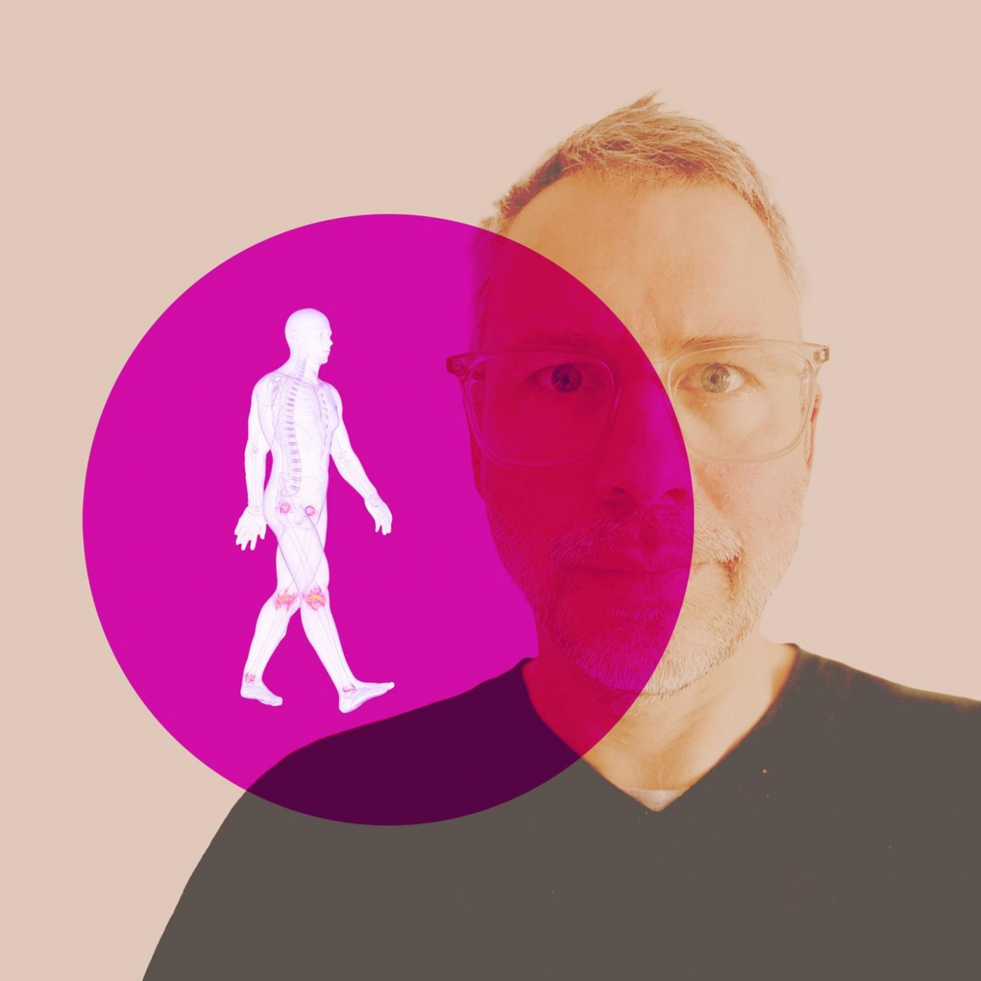 Wie ich den Feind im eigenen K&ouml;rper bes&auml;nftigte