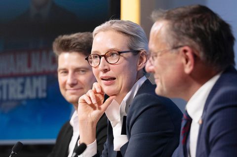 Wie die AfD das EU-Parlament auf rechts b&uuml;rstet