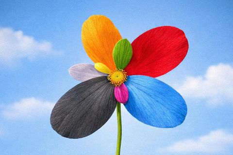 Letzte Umfragen in Rheinland-Pfalz deuten auf enges Rennen hin