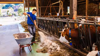 Ausbildung zum Landwirt soll nach 30 Jahren modernisiert werden