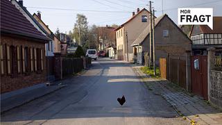 Gro&szlig;e Mehrheit bei MDRfragt sieht l&auml;ndlichen Raum benachteiligt