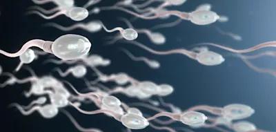 &Uuml;bung macht den Vater