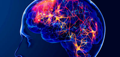 &bdquo;Das ver&auml;ndert die Sichtweise auf Alzheimer grundlegend&ldquo;