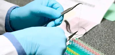 Wirksamere Krebstherapien m&ouml;glich? Forscher lesen Biorhythmus an einer Haarprobe ab