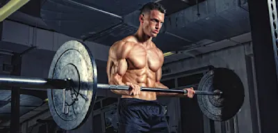 Ein Wachstumsmotor  &ndash; nicht nur f&uuml;r die Muskeln, auch f&uuml;r Deutschland