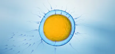 Der Traum vom seriellen Klonen? Irgendwann hilft nur noch Sex