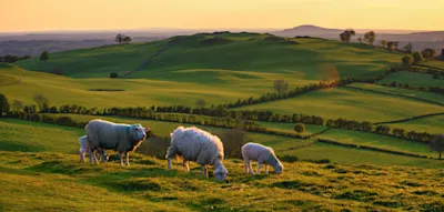 8 Tage Irland  &ndash; beeindruckende Natur in Kleingruppe