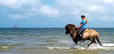 Faszination Nordsee &ndash; 10 Highlights f&uuml;r K&uuml;stenfans