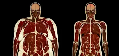 Welche nachgewiesene Wirkung Ozempic auf Stoffwechsel, Herz und Gehirn hat