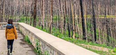 Jasper nach dem Feuer &ndash; warum sich die Reise jetzt lohnt