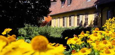 Was Goethe so am G&auml;rtnern faszinierte