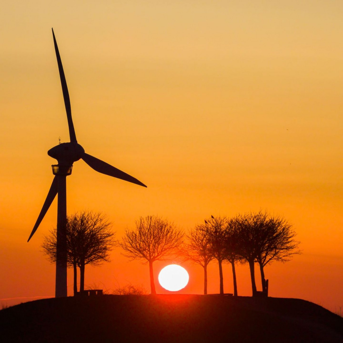 Abkehr vom &Ouml;l? Schneider hofft auf Fortschritt in der Krise