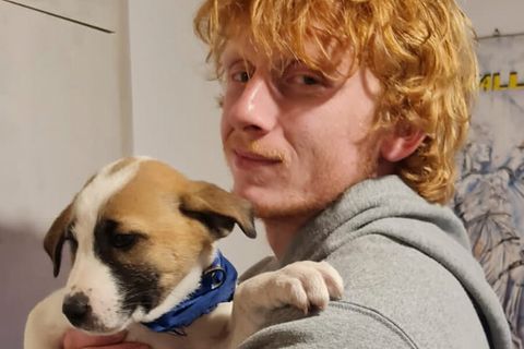 Spermien-Entnahme nach Tod: Wie gefallene Soldaten noch V&auml;ter werden