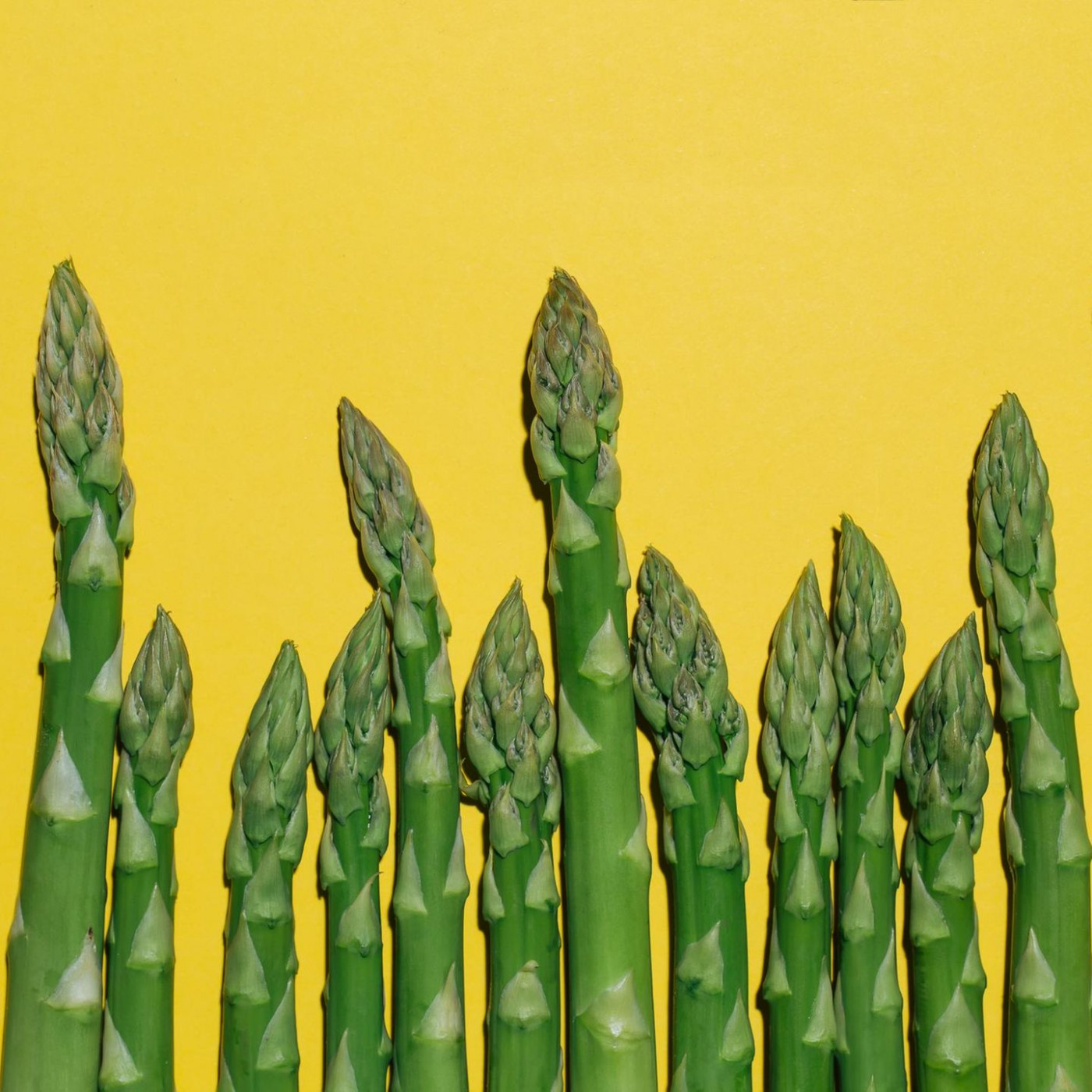 Wie gesund ist Spargel wirklich?