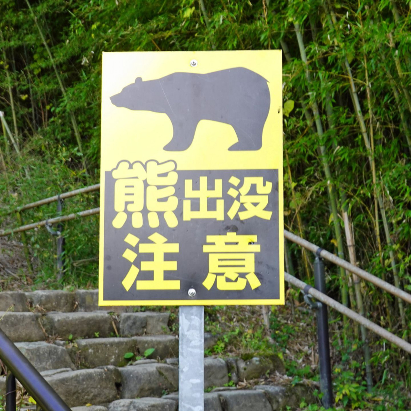 Hier entlang: F&uuml;r Japans sch&ouml;nsten Wanderweg braucht man nur einen Tag