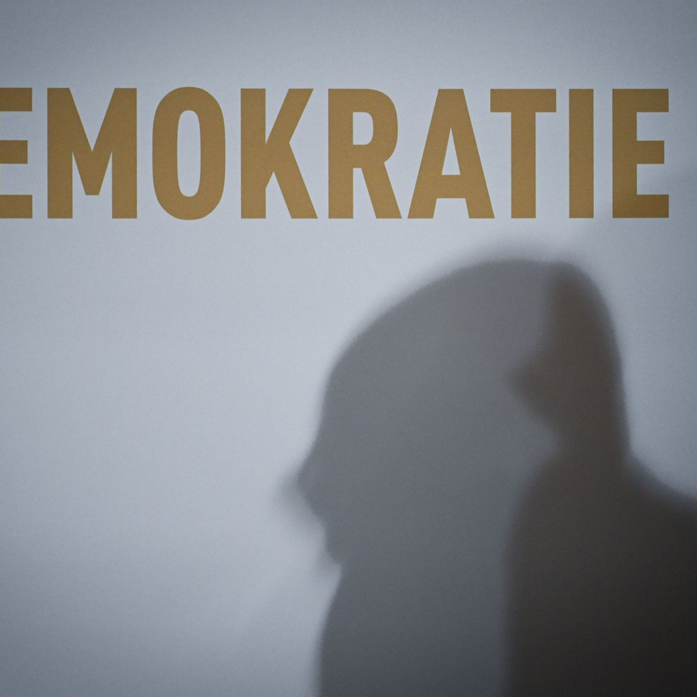 Studie: Gro&szlig;er R&uuml;ckhalt f&uuml;r Demokratie - trotz Schw&auml;chen