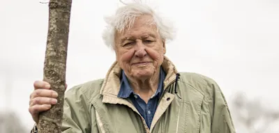Legend&auml;rer Naturforscher David Attenborough wird 100 &ndash; und arbeitet immer noch