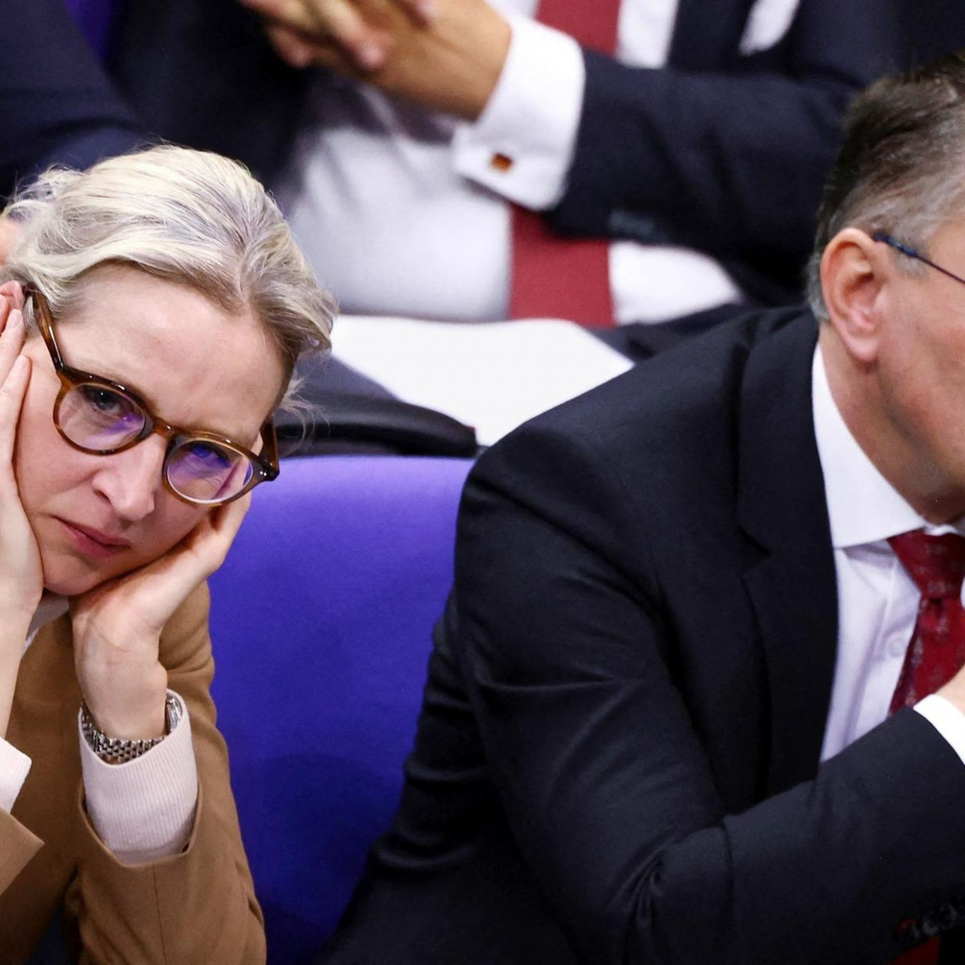 AfD verliert Verfahren um Millionenspende gegen Bundestag