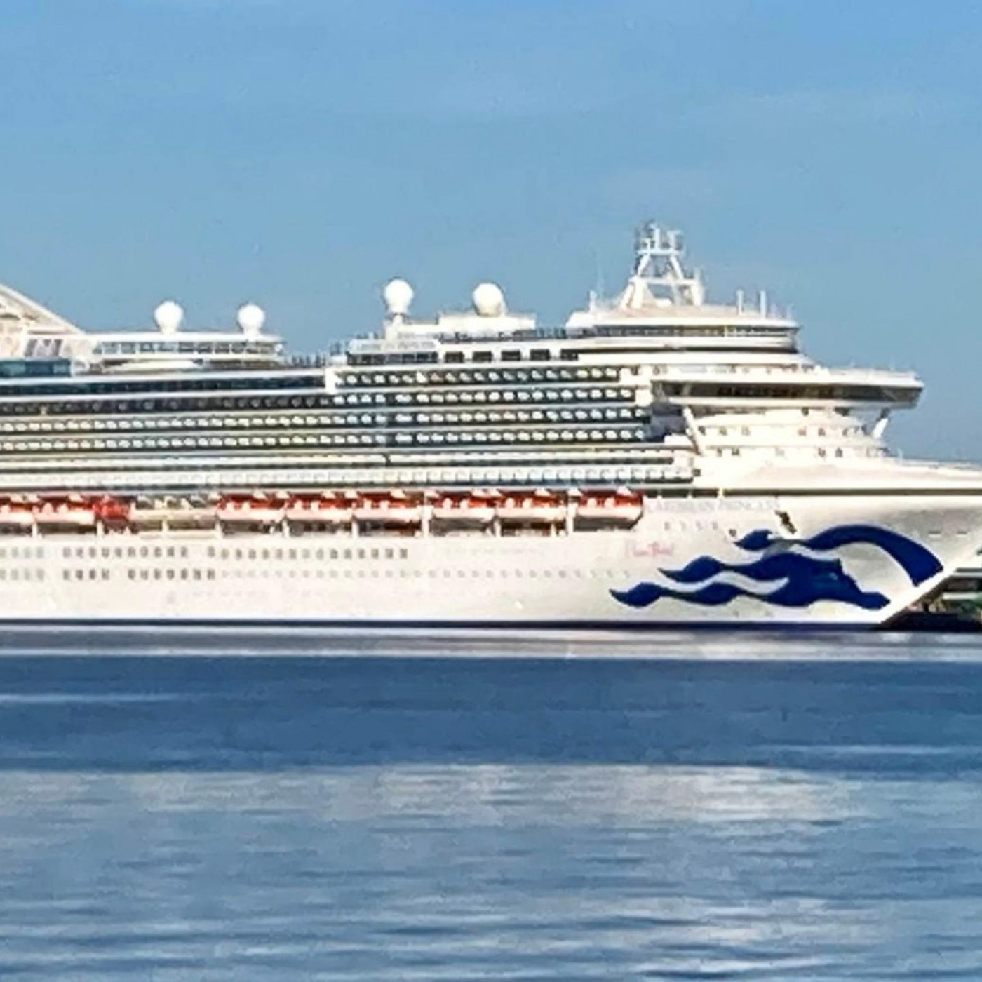 Willkommen an Bord &ndash; diese Krankheiten erwarten Sie auf Kreuzfahrtschiffen