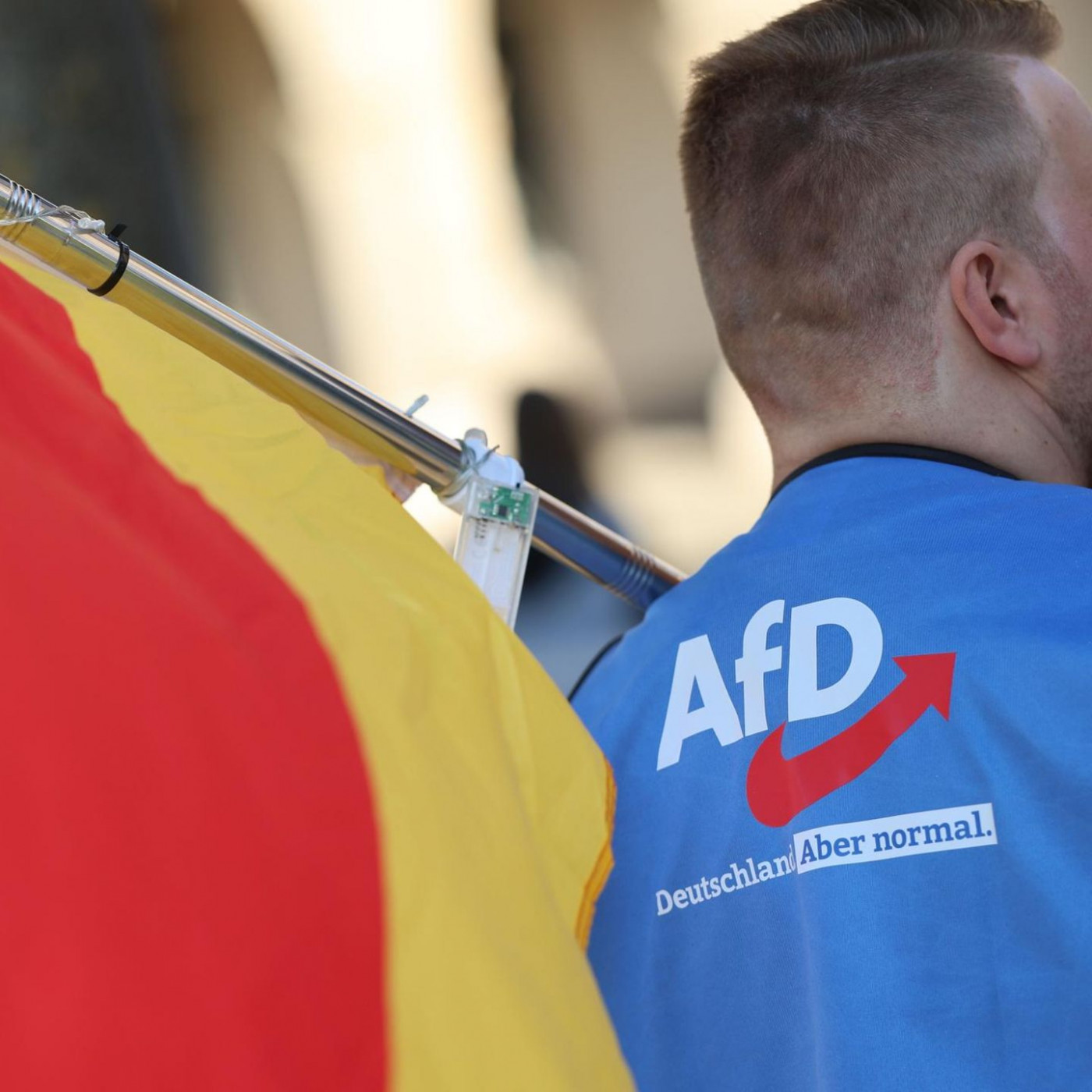 Angriffe auf Parteivertreter nehmen massiv zu &ndash; vor allem auf AfDler