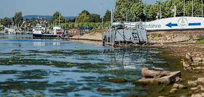 &bdquo;Die Wassertemperaturen erreichen ein Niveau, das einem Angst macht&ldquo;