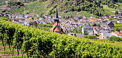 Auf dem Rotweinwanderweg kehrt der Tourismus ins Ahrtal zur&uuml;ck