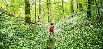 Die H&uuml;ter der Wanderwege