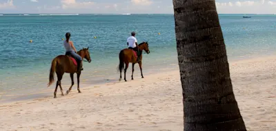 Wo Pferd und Reiter gemeinsam im Indischen Ozean baden gehen