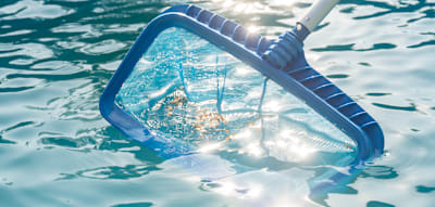 Ihr Pool sieht sauber aus? Diese Gefahren schwimmen trotzdem mit
