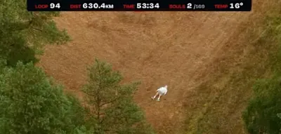 Deutscher Extreml&auml;ufer bleibt nach mehr als 623 Kilometern ersch&ouml;pft im Wald liegen