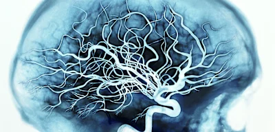 Diese Cholesterin-Senker haben einen unerwarteten Nebeneffekt